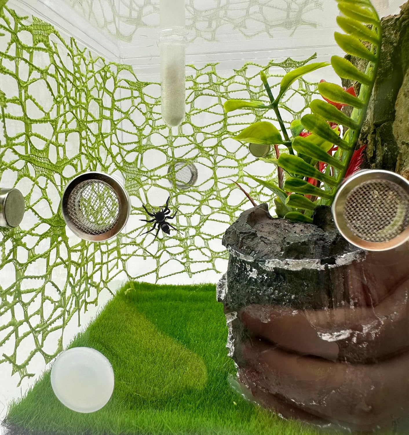 6 PCS Jumping Spider Habitat Accessories-Jumping Spider Webbed Moss Ribbon with Magnets for Spoods Jumping Spider Enclosure Spoods Climbing (3pcs Green + 3pcs Brown)