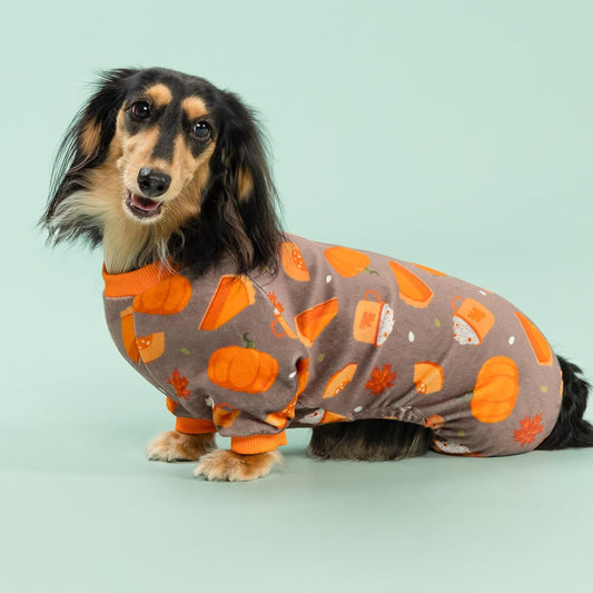 Fitwarm Pumpkin Dog Pajamas, Thanksgiving Outfit for Small Dogs Boy Girl, Pet Onesie, Brown, Orange, XXL