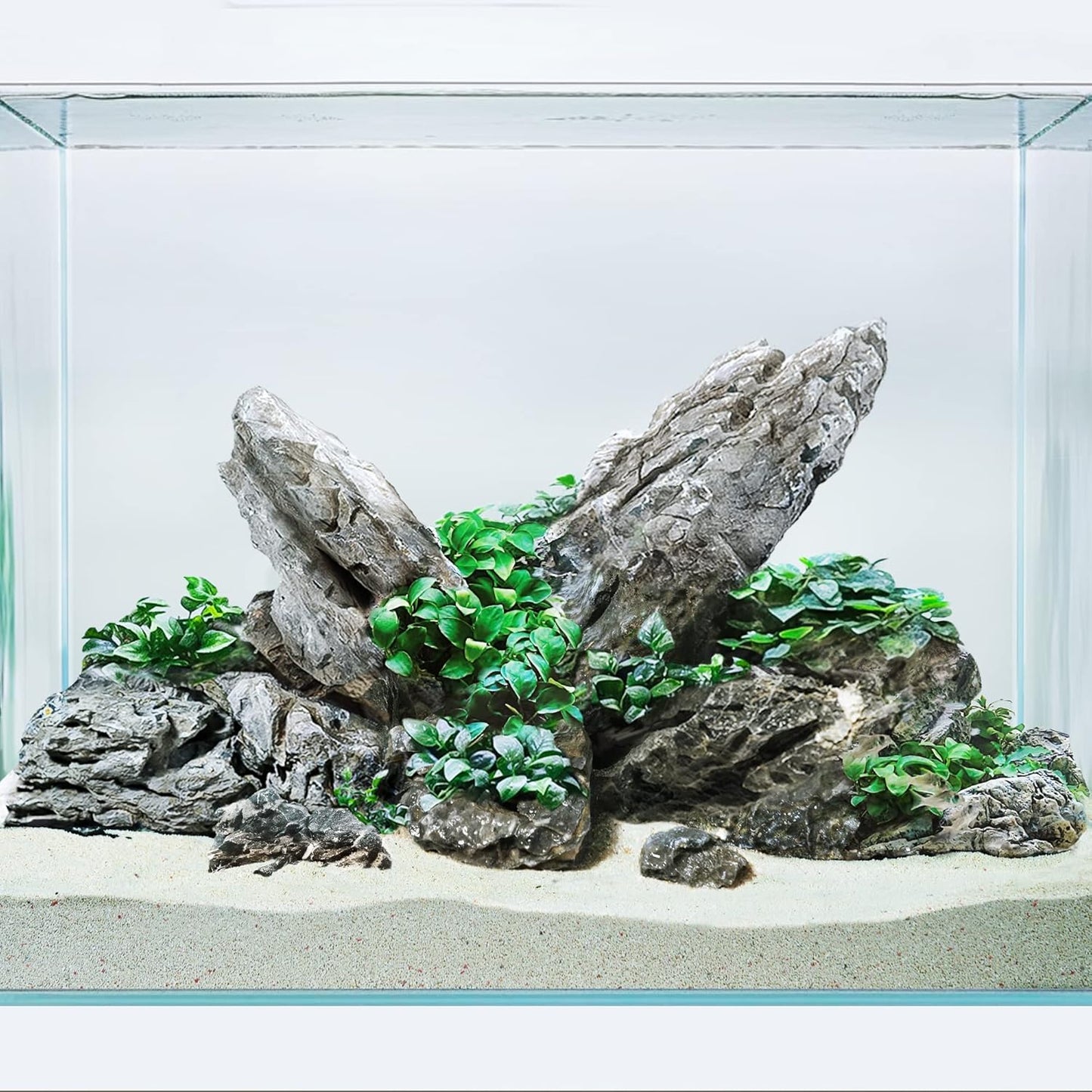 LANDEN Seiryu Stones Natural Rocks for Aquarium, Paludarium, Terrariums, Landscaping Rocks, Aquascaping, 80L (36lbs) 3-11in, Seiryu Stones(3-11inch,36lbs)