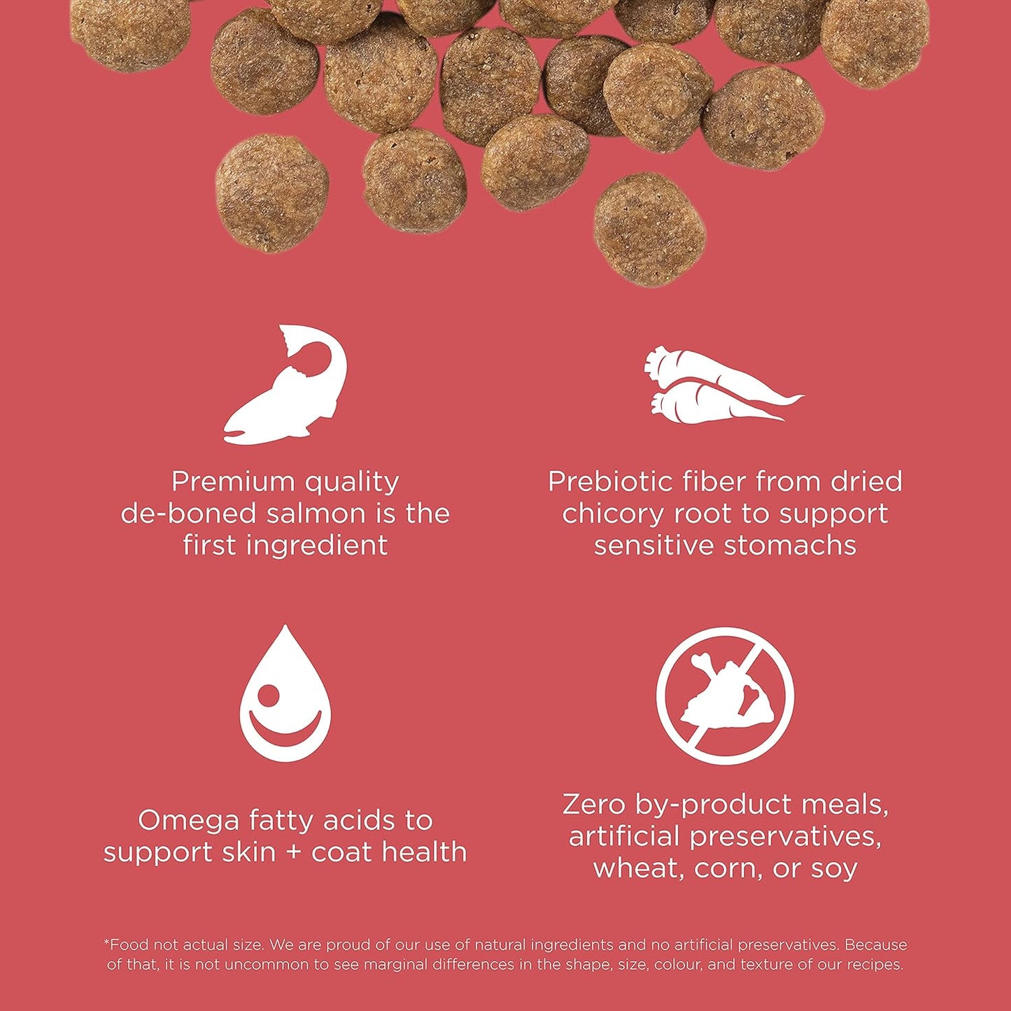 Go! Solutions Sensitivities Limited Ingredients, Grain-Free Dry Dog Food, Salmon Recipe for Sensitive Stomach, 3.5 lb Bag