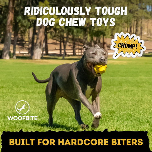 Indestructible Jumping Jack Chew Toy - Lifetime Replacement - Durable Dog Toy for Aggressive Chewers - Safe, Non-Toxic Natural Rubber - Interactive, Chew & Fetch - Tough, Heavy Duty - 4.5”