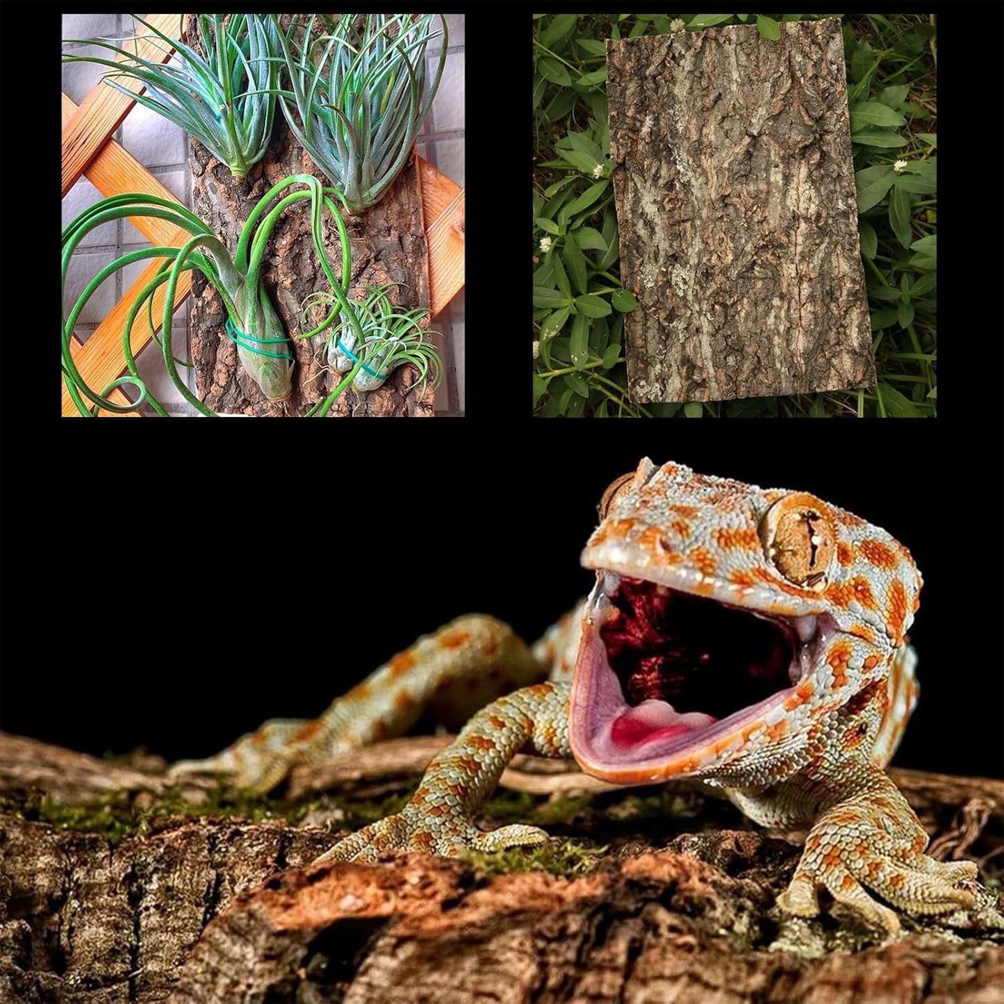 Allazone Natural Cork Perch, Bird Cork Seat Boards, Cork Bark Toy, Parrot Chewing Toy Bird Cork Perch Stand for Bird Budgie Parrot Cockatiel Hamster Guinea Pig Rat (1PCS, 30 x 40cm)