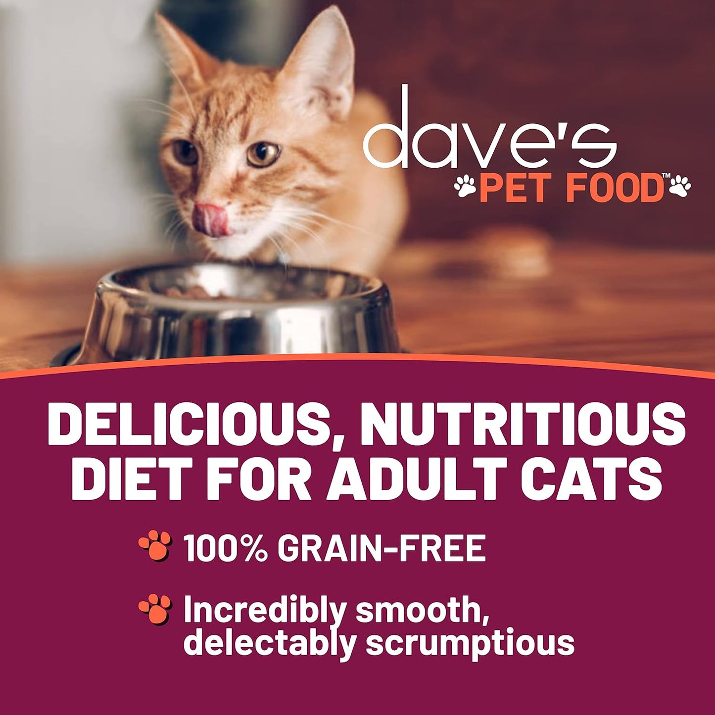 Dave's Pet Food Grain Free Wet Cat Food (Shredded Chicken in Gravy), Made in Canada Naturally Healthy Canned, Added Vitamins & Minerals, Wheat & Gluten-Free, GMO-Free, 5.5oz (24 Pack)