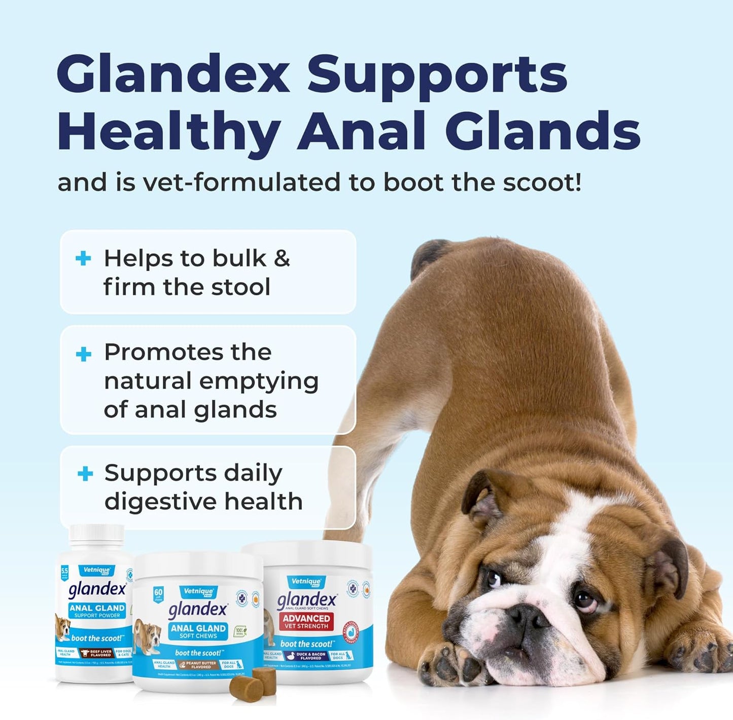 Vetnique Labs Glandex Dog Fiber Supplement Powder for Anal Glands with Pumpkin, Digestive Enzymes & Dog Probiotics for Digestive Health - Vet Recommended - Boot The Scoot (Pork Liver, 4.0oz Powder)