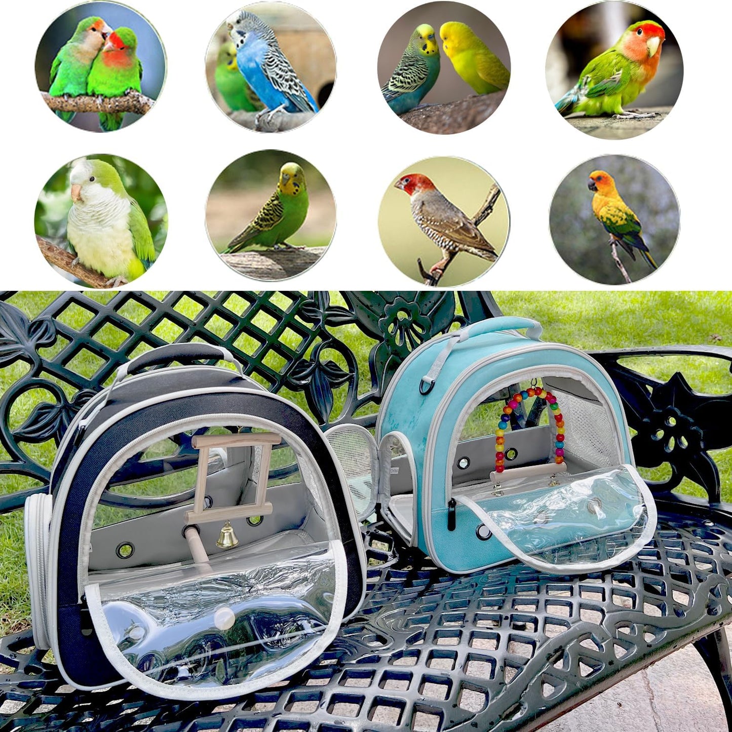 Portable Parrot Travel Cage Carrier with Small Swing Toy&Cage Colorful Toys Set Small Bird Parakeet Bag with Standing Perch Bird Carry Transport Bag (Black, Carreir/Swing)
