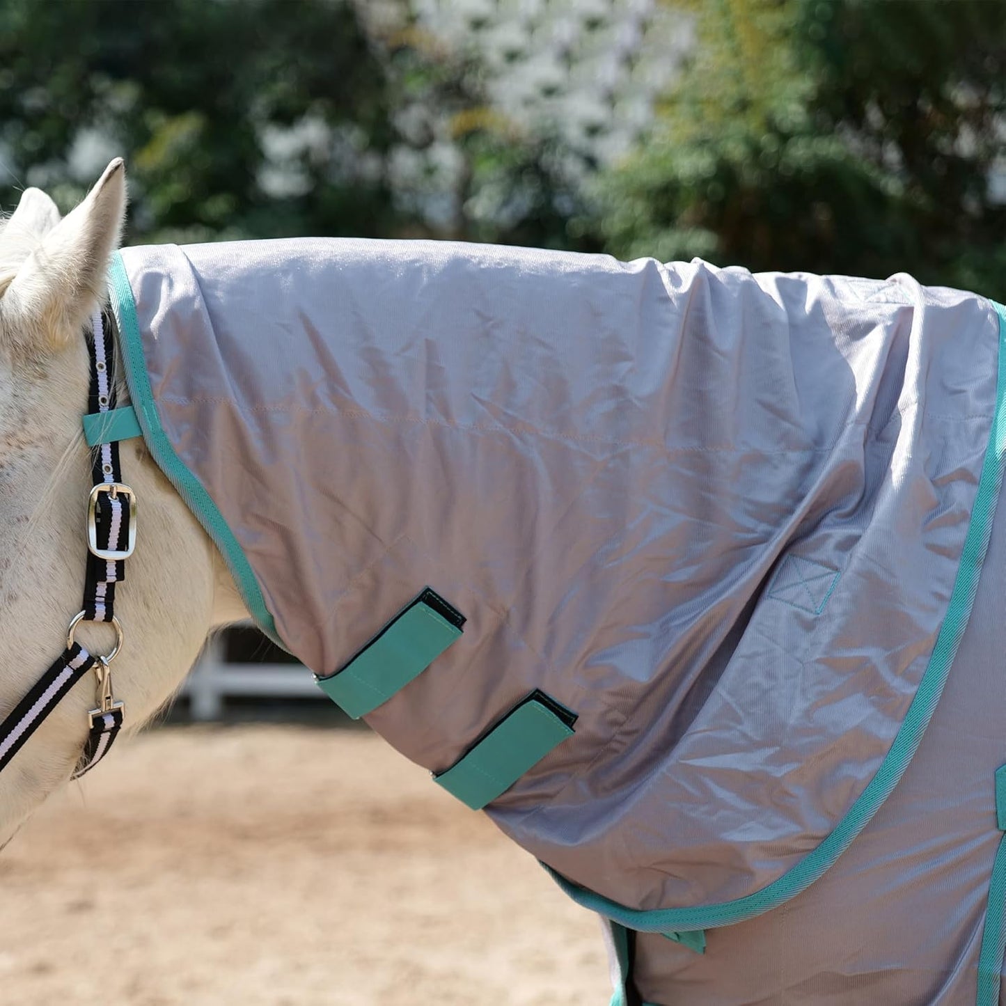 Horse Fly Sheet with Detachable Neck Cover & Belly Wrap, Adjustable Fly Sheet for Horses, Ventilated Airflow Mesh Equine Cooling Summer Flysheet Grey 84