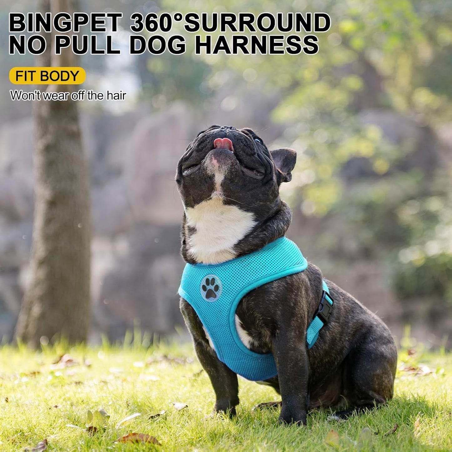 BINGPET No Pull Dog Harness,Soft Mesh Breathable All Weather Vest Harness,Safety Protection Design Durable Adjustable Step-in Easy Walk Dog Harness for Small Medium Large Dogs(RoyalBlue,M)