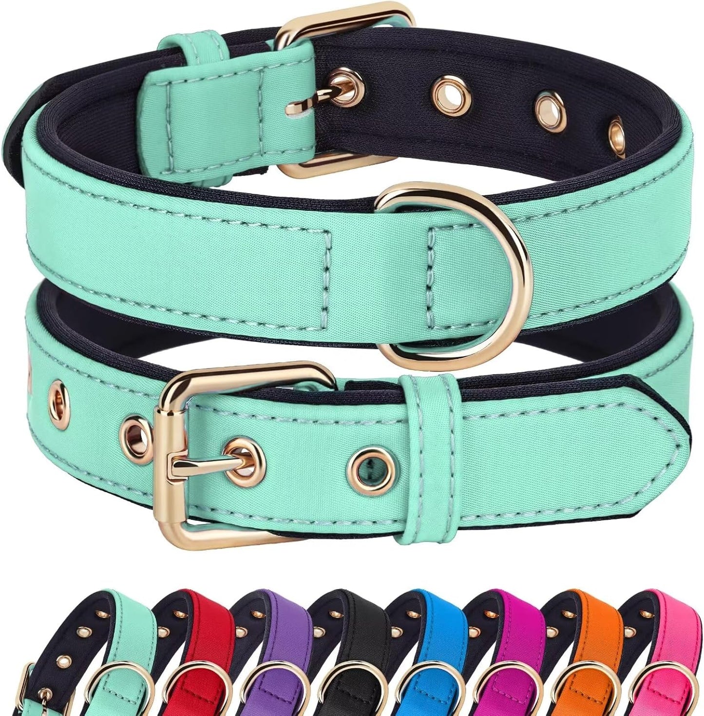 Didog Soft Padded Dog Collars for Small Dogs, Lightweight and Breathable Dog Collar with Metal Buckle for Puppy, Green, S