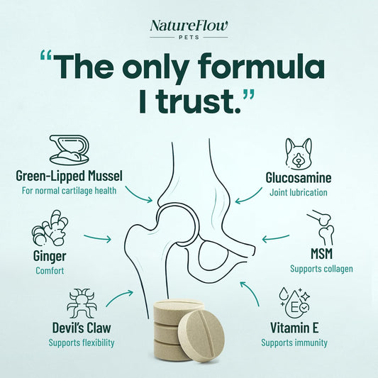 Joint Supplement for Dogs, Power of Nature Made in USA, Unique Formula: Green-Lipped Mussel, Glucosamine, Chrondroitin, MSM, Devils Claw, Hip and Joint Supplement, All Breeds - 200 ct