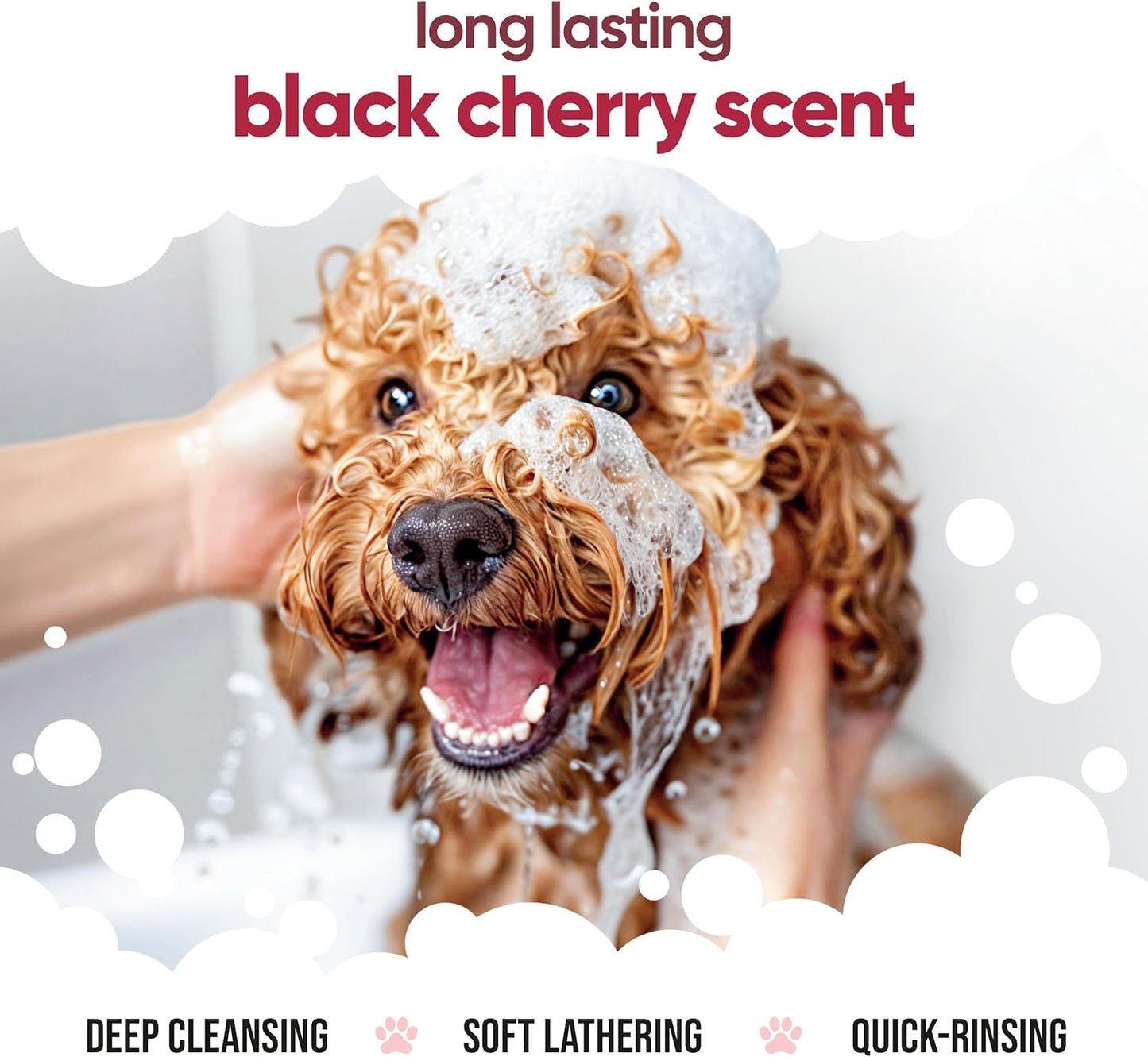 Black Cherry Dog Shampoo by Buddycare | Dry Skin & Itchy Skin Relief for Smelly Dogs | Deep Cleansing for Dogs Puppy Sensitive Skin | Dog Shampoo & Conditioner | with Aloe & Vitamin B5 (16.90oz)