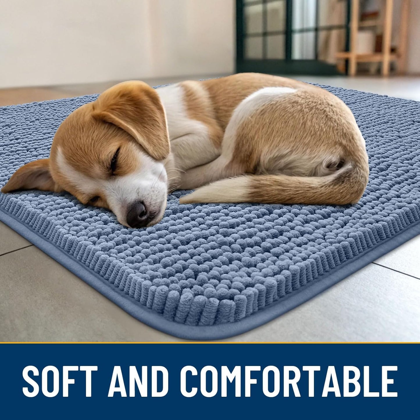 Smiry Dog Door Mat for Muddy Paws 48x30, Absorbs Moisture and Dirt Doormat, Non-Slip Washable Quick Dry Chenille Front Door Mat Indoor Entrance, Entryway Carpet for Inside Floor, Airy Blue