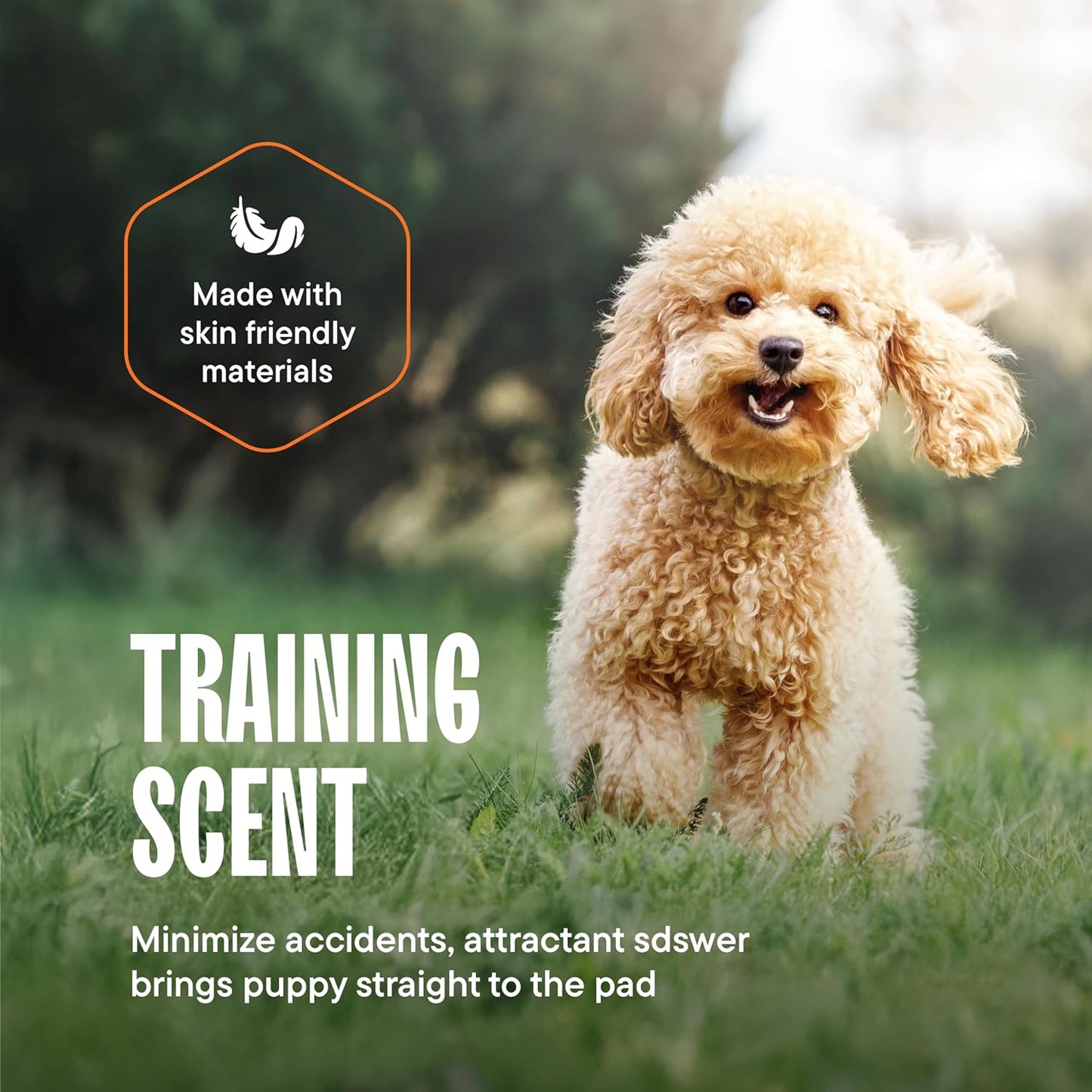 Puppy Pads Pet Pee Pads 22" x 22" [300-Count] Pet Training Disposable Pads, Compact Breed Pad, Leak-Proof, Bulk Case Pack - for Dachshunds, Shih Tzus, Pomeranians, Heavy Duty Surface Protector