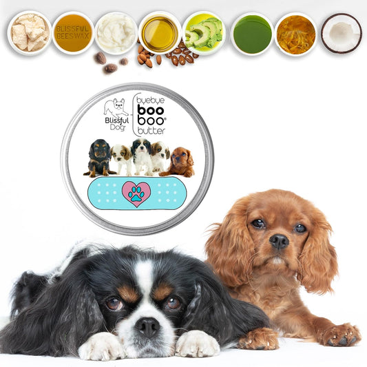 The Blissful Dog Cavalier King Charles Spaniel Boo Boo Butter, 16 oz.