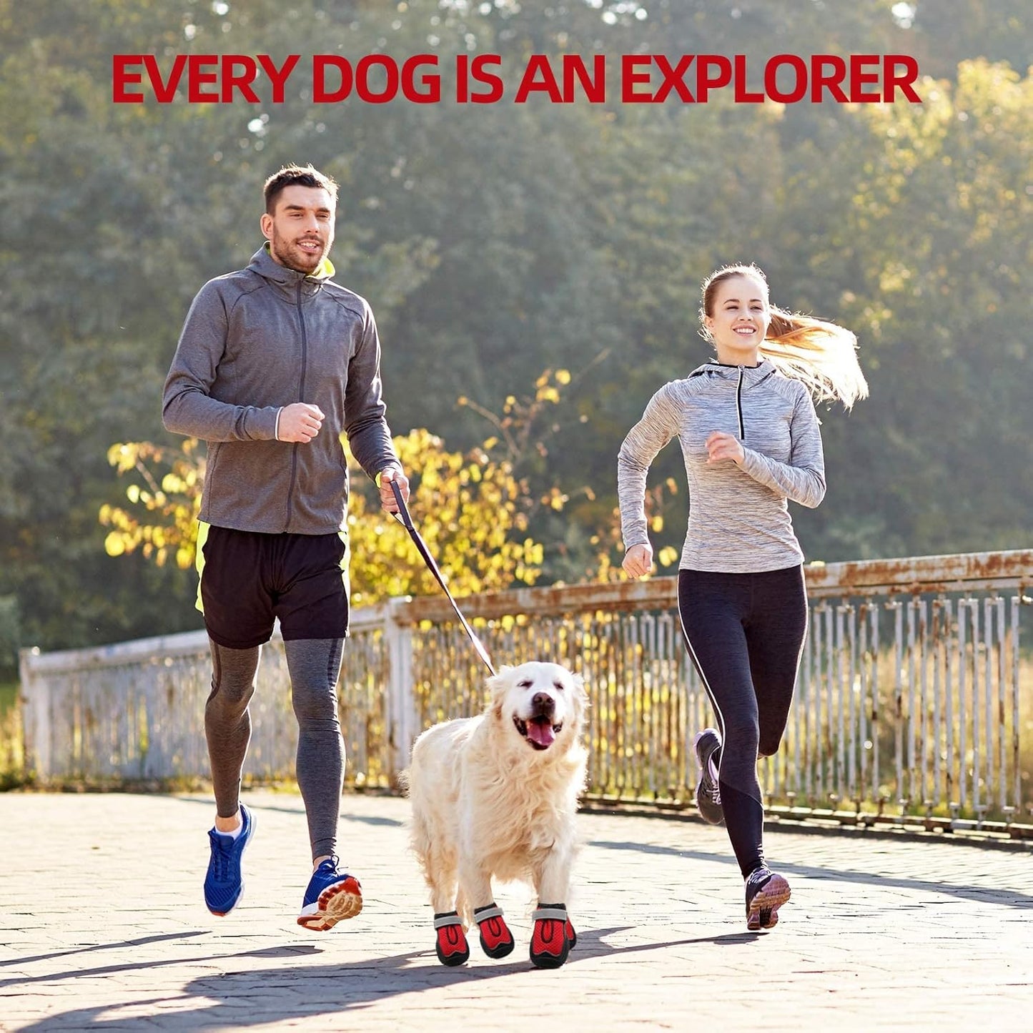 Hcpet Dog Boots for Large Dogs, Dog Shoes for Hot Pavement Winter Snow, Paw Protector Dog Booties Designed for Comfort and Breathability, Outdoor Booties for Small Medium Dogs for Hiking Red Size 2