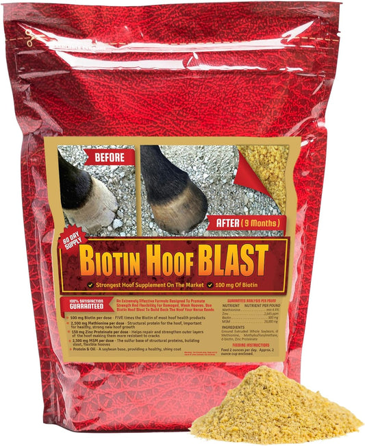 Horse Guard Hoof Supplements for Horses - 80 Servings - Biotin Hoof Blast 10lb Bag with 100mg Biotin per Serving - Concentrated Equine Hoof Health, Strengthener with MSM, Methionine, Zinc