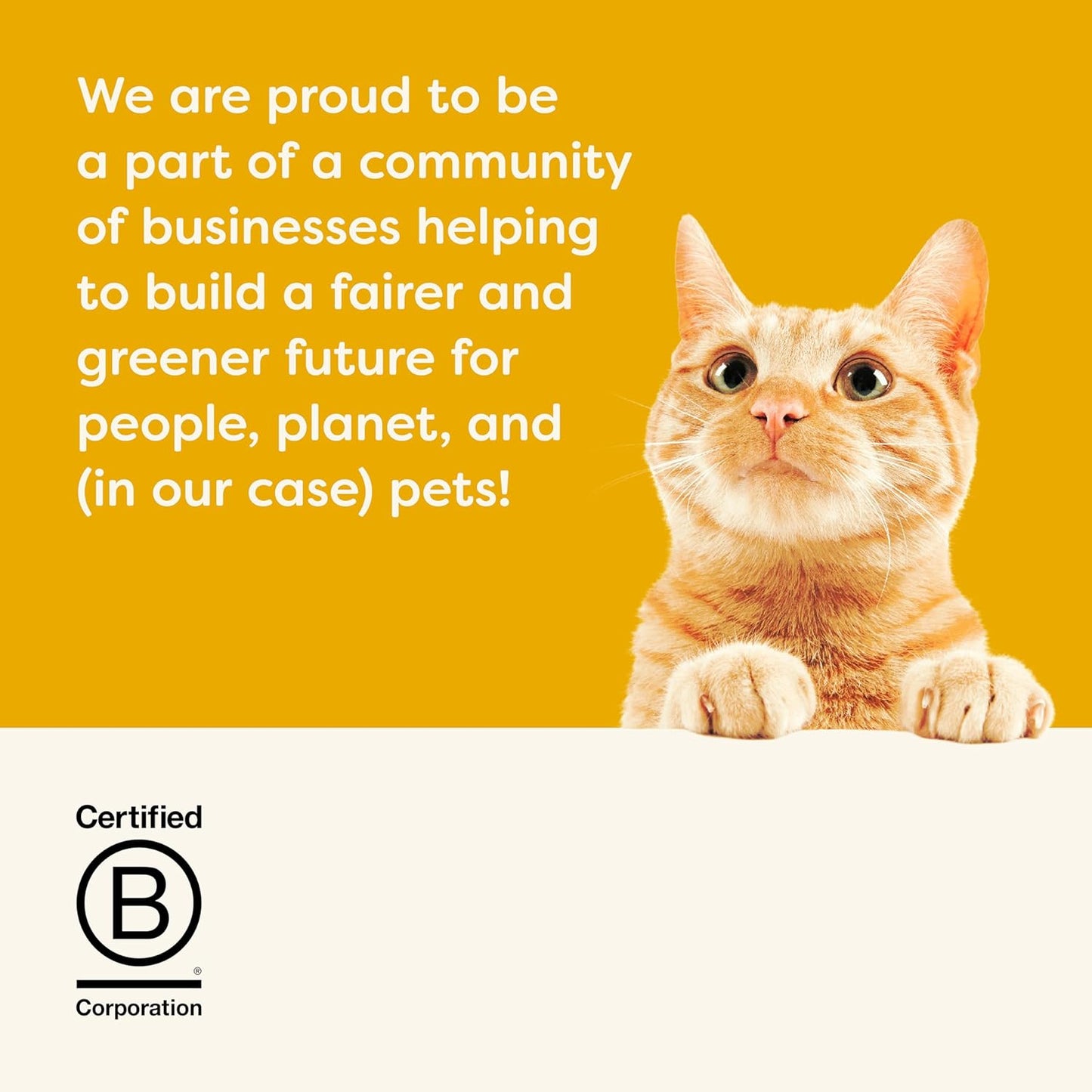 Applaws Natural Wet Cat Food in Broth, Limited Ingredient Canned Wet Cat Food, No Additives, Made with Natural Ingredients, Chicken Breast & Liver in Broth (24 x 2.47oz Cans)