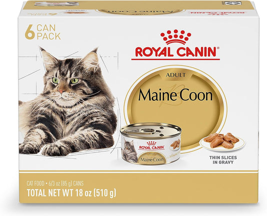 Royal Canin Maine Coon Adult Breed Specific Cat Food Thin Slices in Gravy, 3 oz can (6-Pack)
