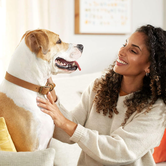 Rachael Ray Nutrish Dog Chews Soup Bones With Real Beef & Barley, 24 Dog Treats