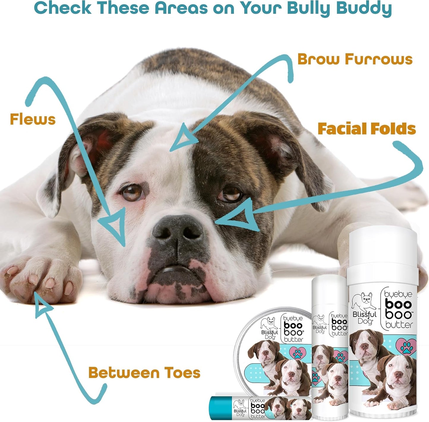 The Blissful Dog 2 oz TIN American Bulldog Booboo Butter