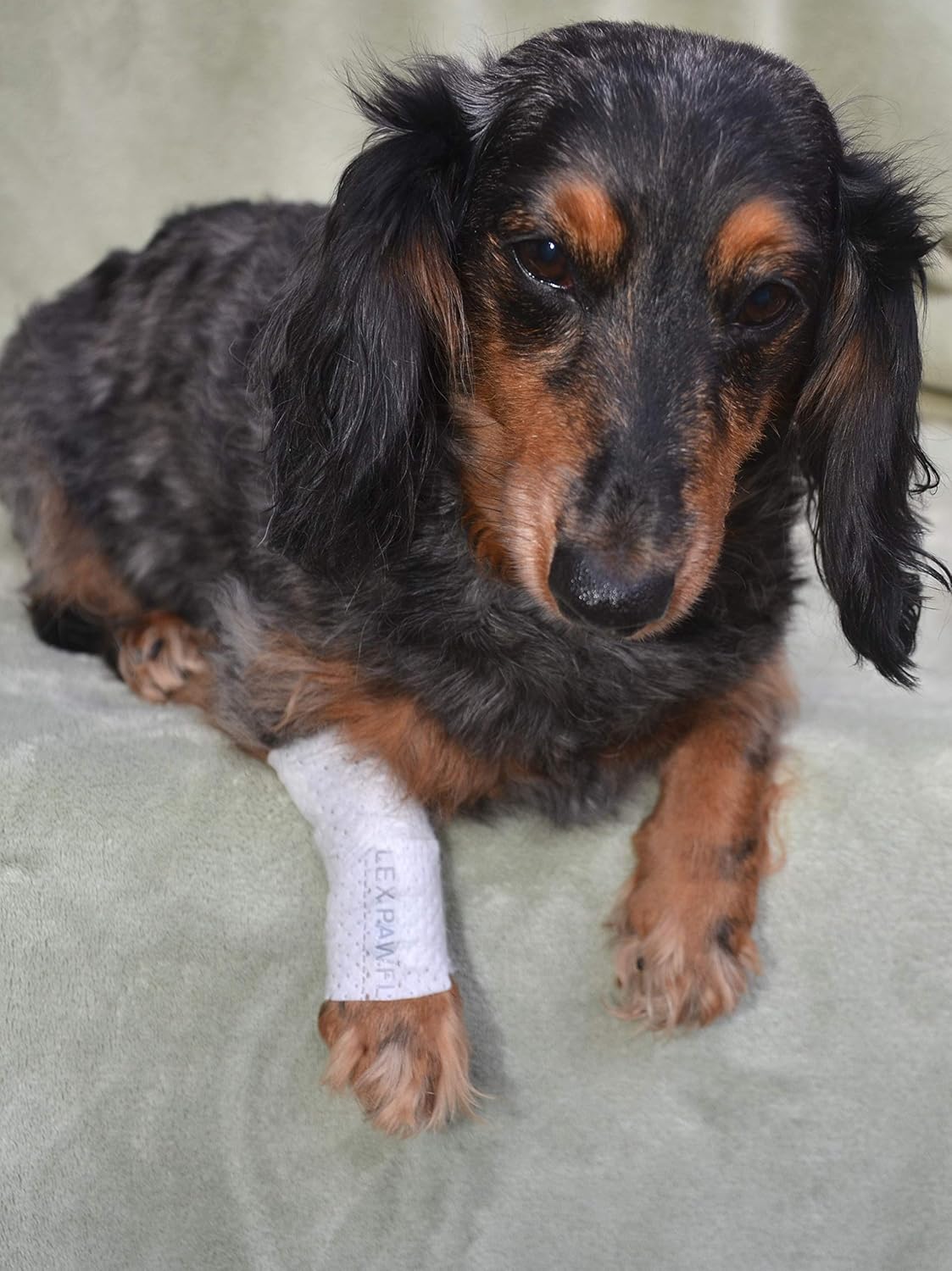 Protective Sleeve Tubular Cover - Bandages - for Dogs Cats and Other Pets First Aid Wound Care Comfortable Non-Adhesive Breathable & Water Resistant 18 Strips (yields 36-54 Covers)-(X-Small)