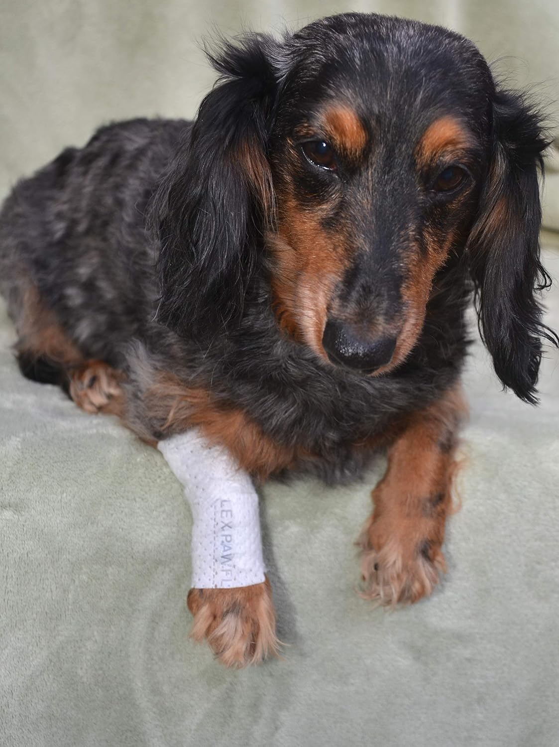 Protective Sleeve Tubular Cover - Bandages - for Dogs Cats and Other Pets First Aid Wound Care Comfortable Non-Adhesive Breathable & Water Resistant 12 Strips (yields 24-36 Covers)-(XX-Small)