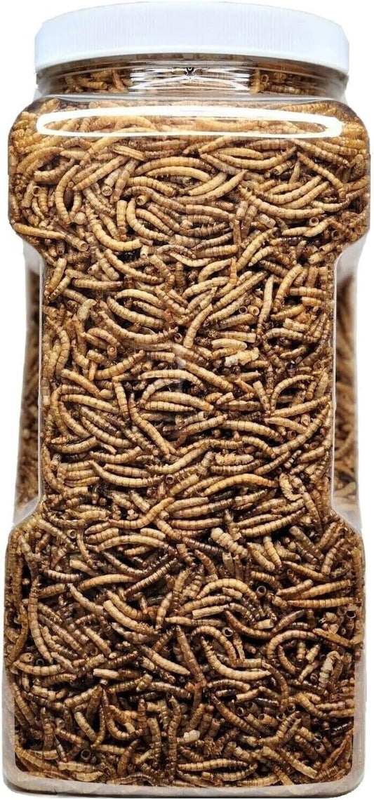 Aquatic Foods Inc. Mealworms- Freeze Dried Mealworms for Tropical Fish, Pond Fish, Reptiles, Turtles, Tortoises, Frogs, Hamsters, Birds, Rodents…3oz Small Jar