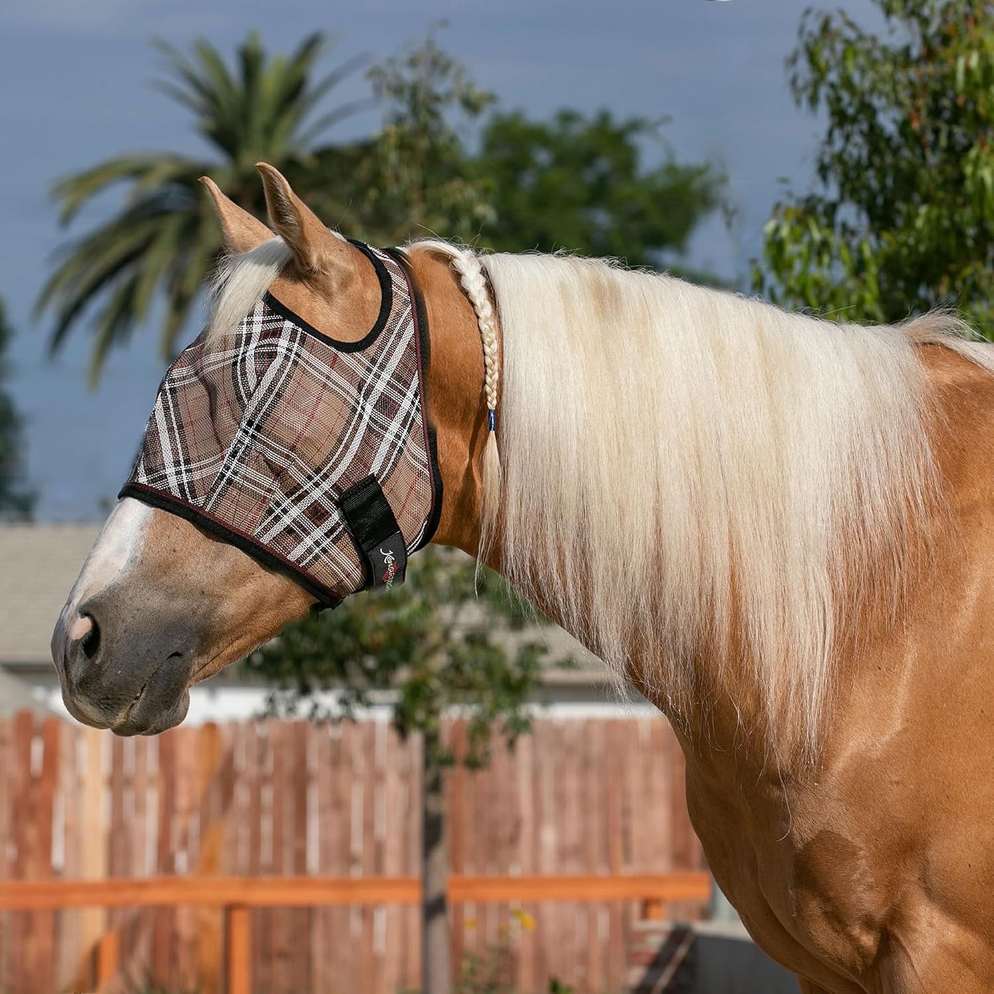 Kensington Fly Mask Web Trim — Protects Horses Face and Eyes From sun While Allowing Full Visibility — Ears and Forelock Able to Come Through the Mask, Medium, Deluxe Black