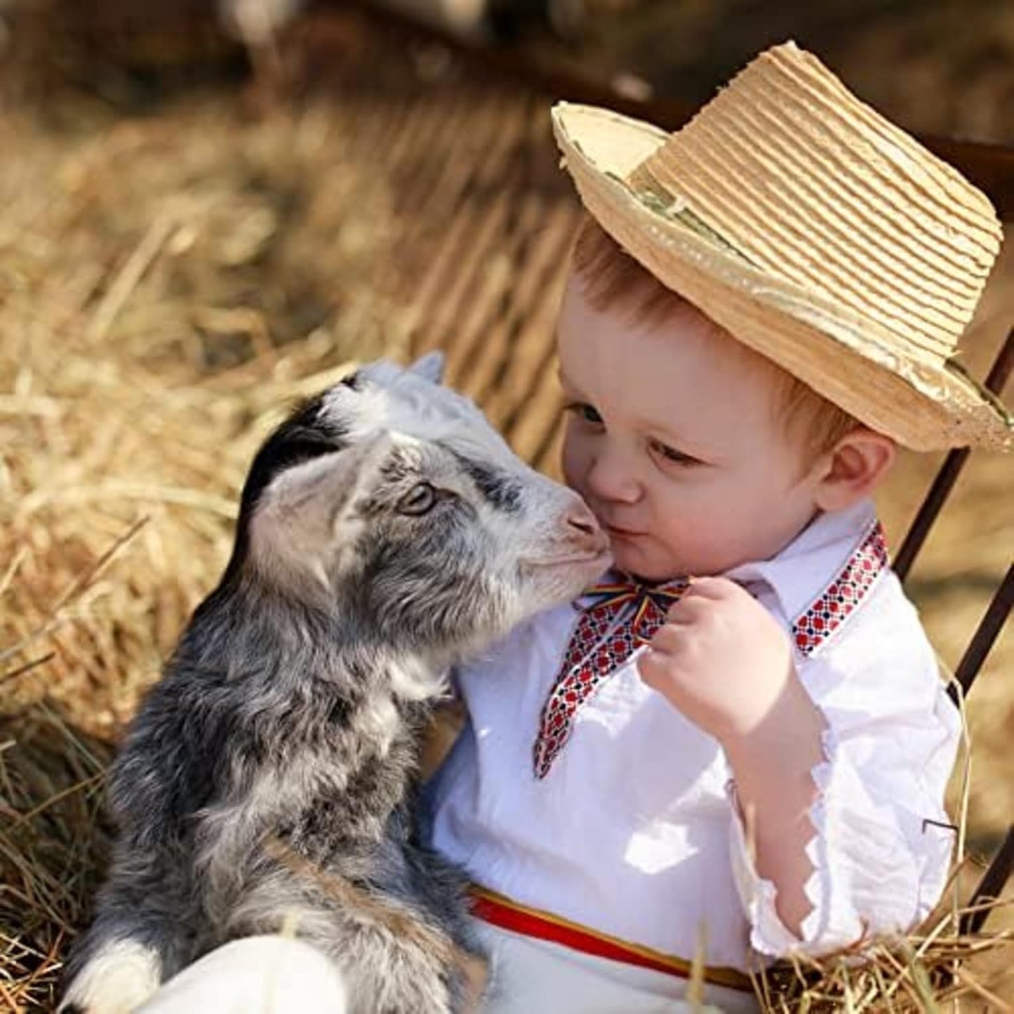 Blue Mountain Hay | Fresh Organic Meadow Hay (48 Ounce) | Mimics Natural Forage | High-Altitude Hay Pet Food for Rabbits, Guinea Pigs, Chinchillas, Hamsters, and Other Small Pets