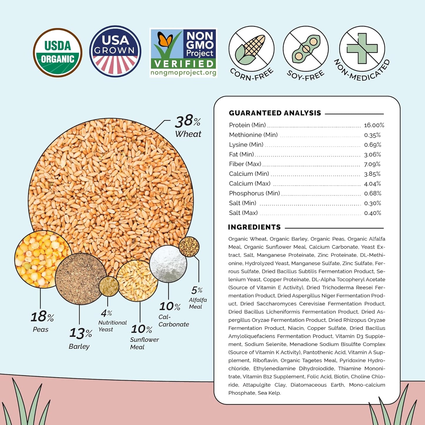 Organic Chicken Feed – Layer Mash, Non-GMO, USA Grown, 16% Protein, Corn-Free, Soy-Free, Non-Medicated Feed for Chickens, 2 lbs Sample