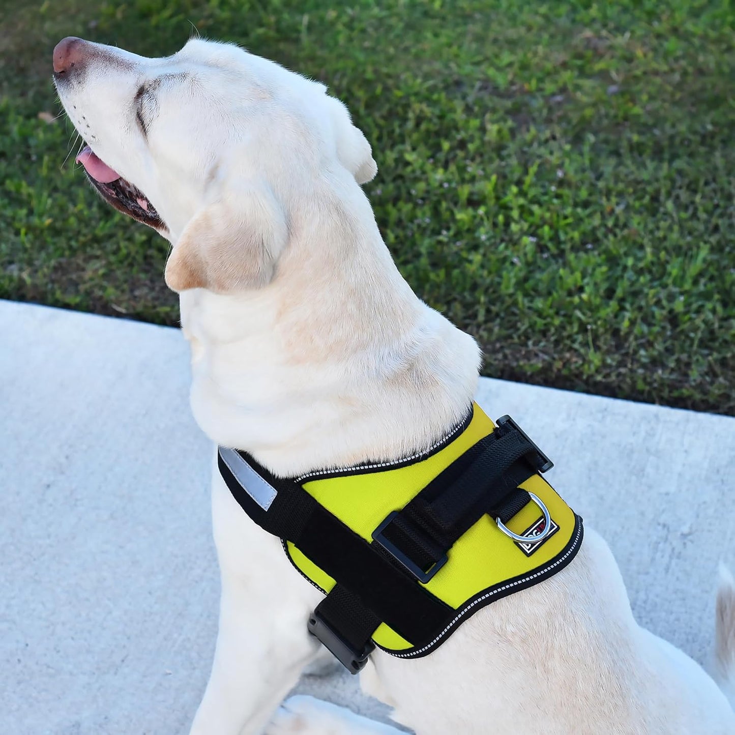 Dogline Dog Harness, Reflective No-Pull Adjustable Vest with Handle, Breathable No-Choke Harness for Small, Medium or Large Dogs Room for Patches Girth 15 to 18 in Lime Green