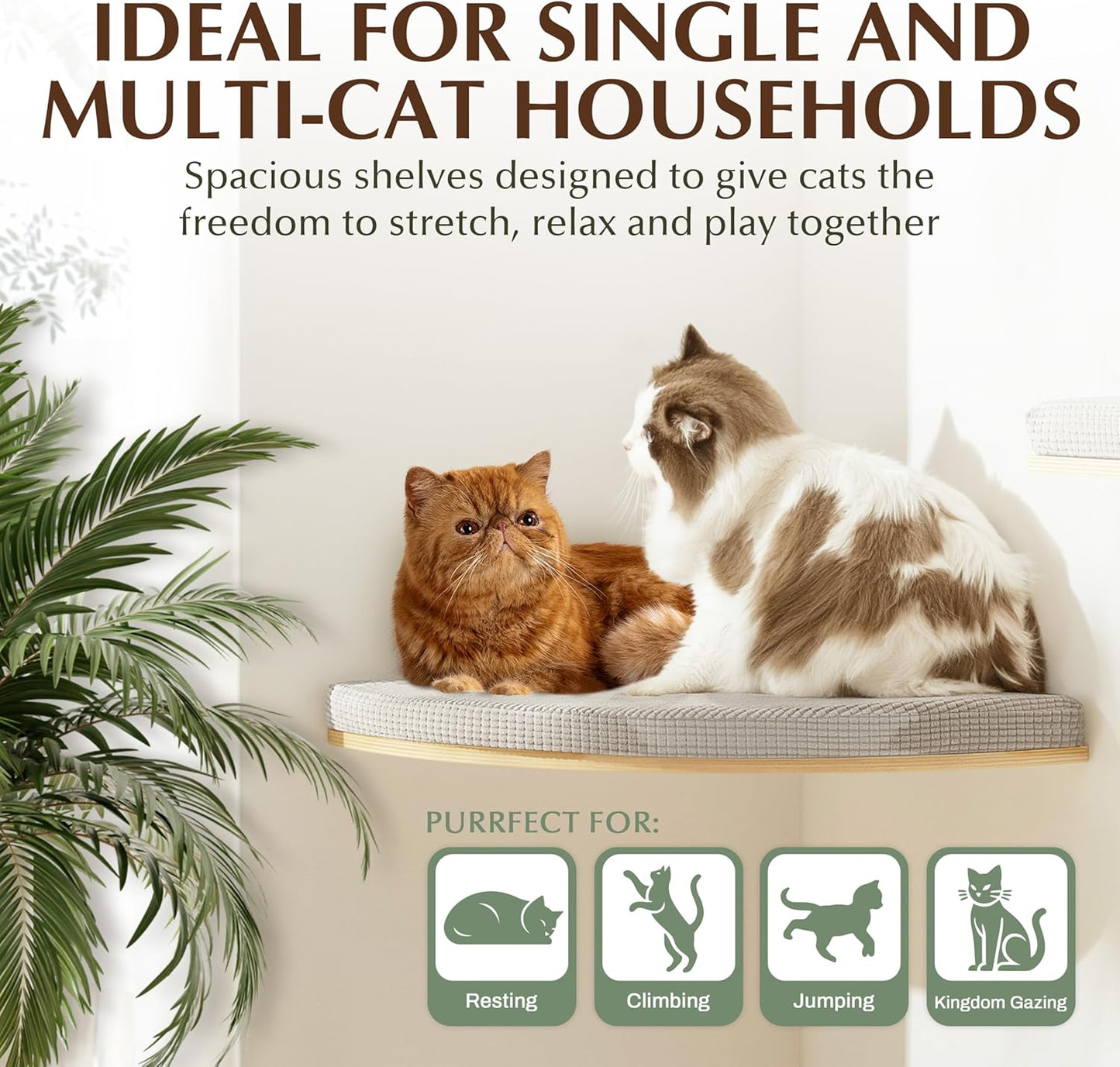 Large 9.84” CALLICO HAVEN- Corner Cat Wall Shelves, Modern Wall-Mounted Cat Furniture, Corner Wall Hammock for Cats, Space-Saving Wall Cat Tree Bed, Sturdy/Hidden Mounts, Washable Cover- Fan Shape