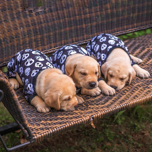 CuteBone Dog Halloween Pajamas Puppy Onesies Small Dogs Soft Pjs Coat Cat Apparel Comfy Pet Christmas Clothes Outfit Doggie Bodysuit P11XS