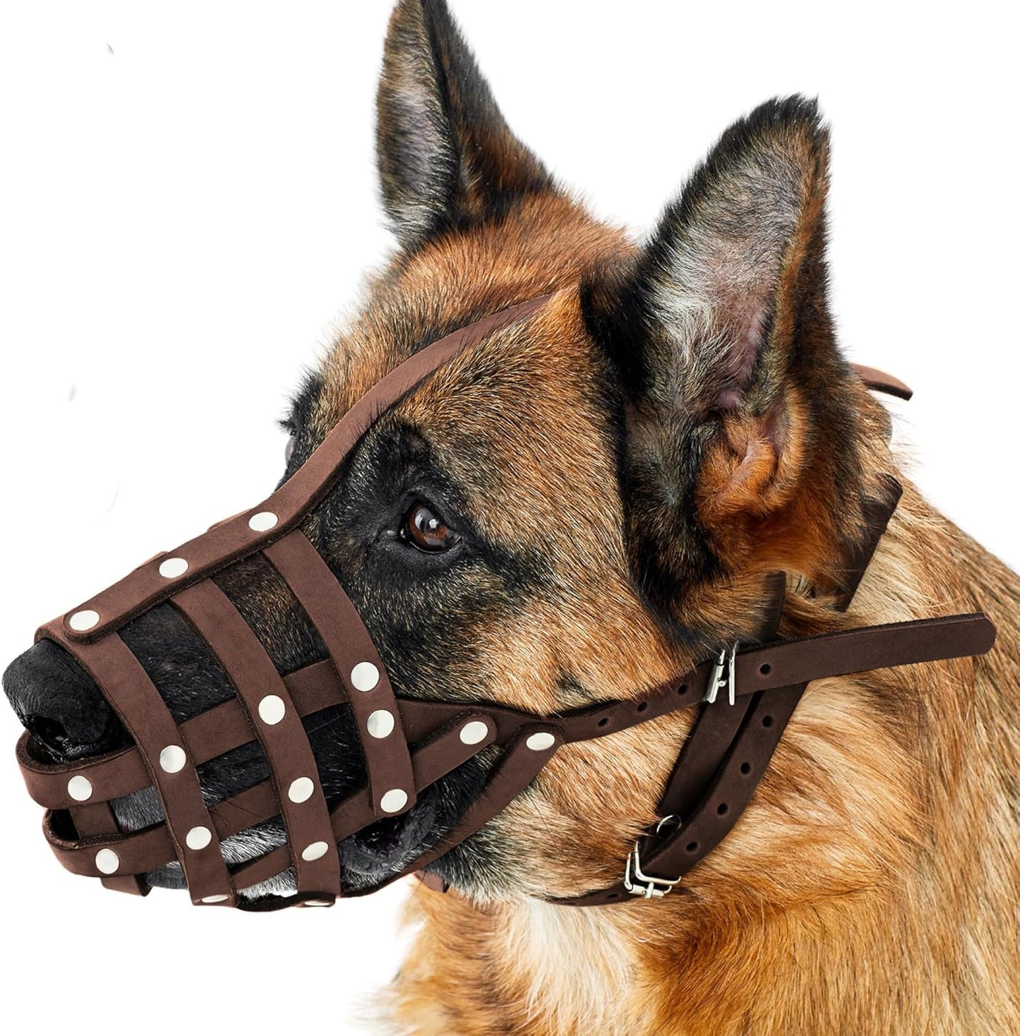 CollarDirect Dog Muzzle German Shepherd Dalmatian Doberman Setter Leather Basket Medium Large Breeds (Chestnut Brown, Medium)