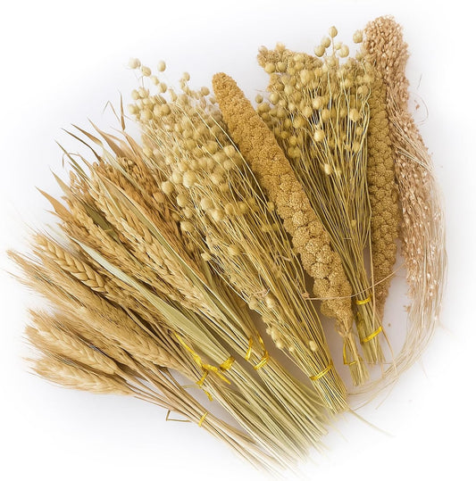 ZIPPYPET Hamster Sprays and Forage Accessories for Cages, Pet Mouse Decor Textures (5)