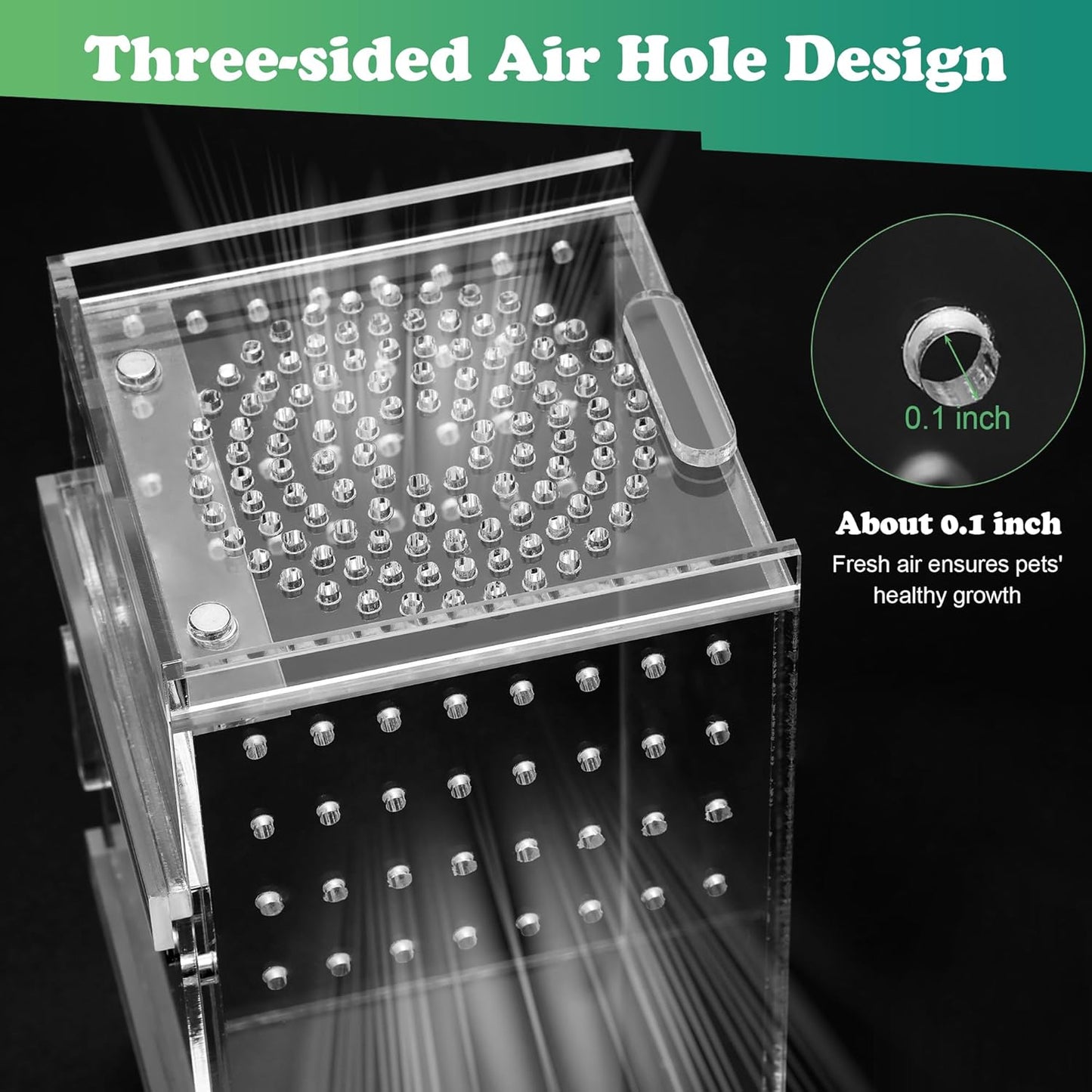 Jumping Spider Enclosure, 3x3x6 Inch Jumping Spider Habitat with Magnet Opening Door Jumping Spider Accessories Small Acrylic Terrarium for Tarantula and Praying Mantis