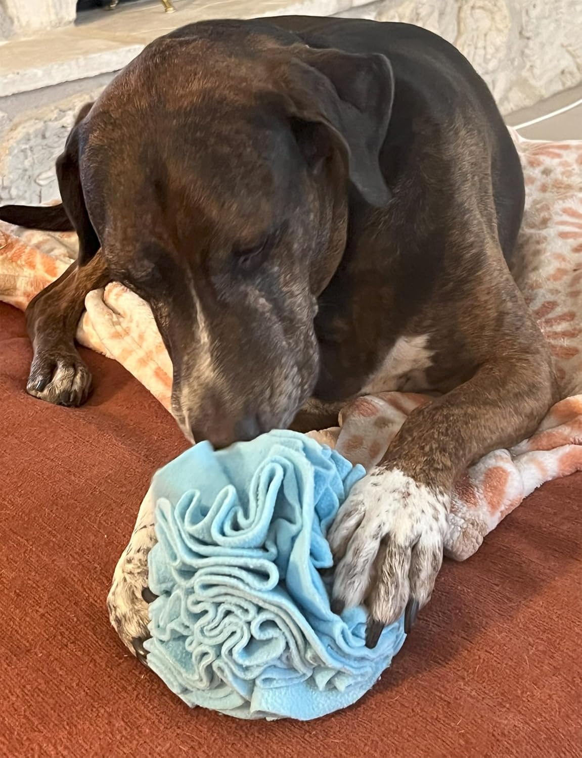 Glory To Dog Medium Breed Snuffle Interactive Foraging Dog Puzzle Ball Toy Blue Large