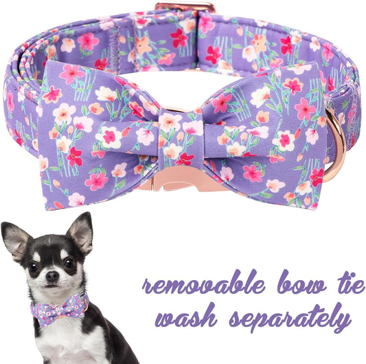 Unique style paws Cartoon Dog Collar with Bow Spring Summer Collar with Mutiflower for Small Medium Large Boys Girls Dogs