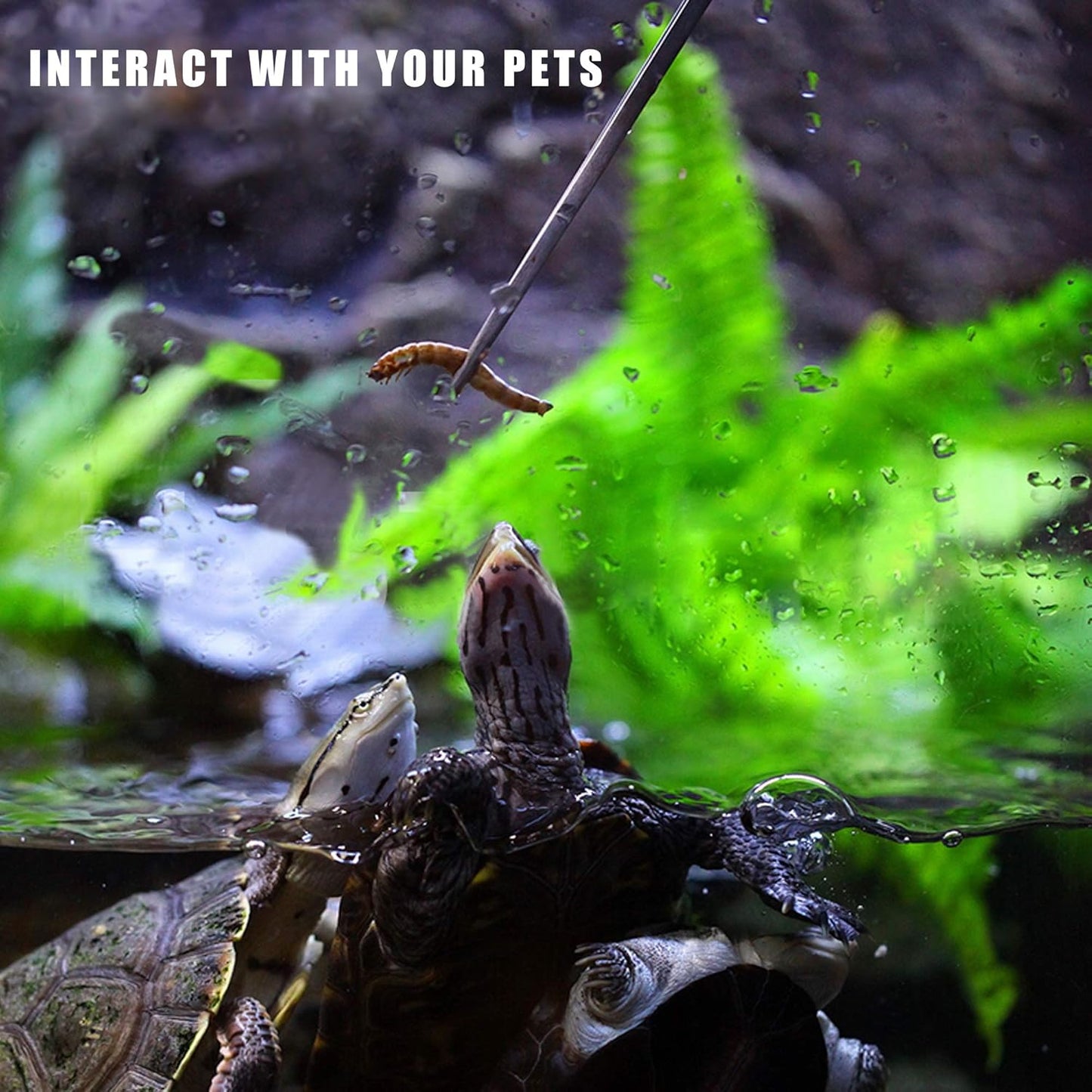 Longjet Kitchen Tweezers Metal Tongs for Cooking - Reptile Feeding Tongs for Gecko, Bearded Dragon, Snake - Long Forceps for Aquarium Plant