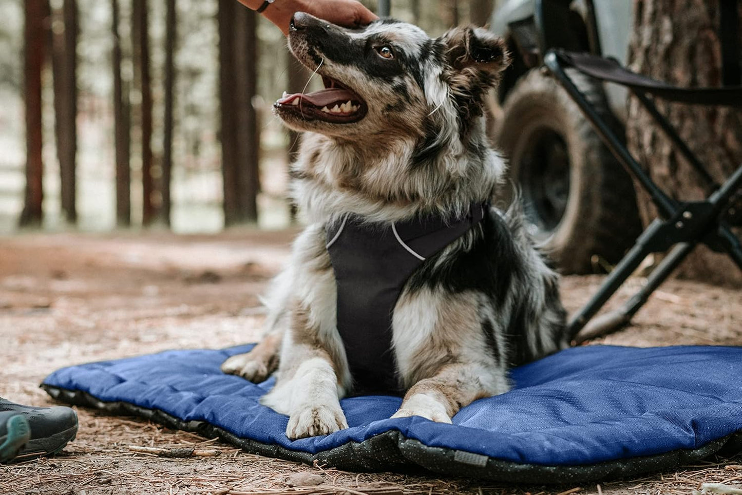 K9 Ballistics Tough Ripstop Dog Crate Pad - Durable & Machine Washable with Non-Skid Bottom and 120-Day Warranty, Fits 30" Wire Crates - Small, Sandstone