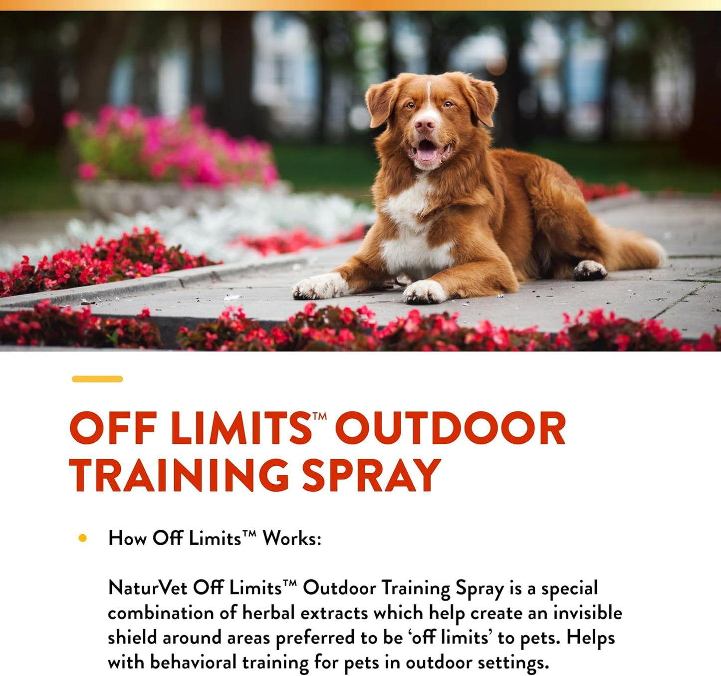 NaturVet Off Limits Pet Training Spray for Dogs & Cats – Deters Pets from Outdoor Areas – Includes Herbal Extracts – Non-Staining Sprays for Training Pets – 32 Fl. Oz.