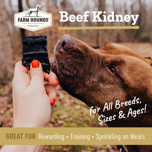 Farm Hounds - Beef Kidney - Premium Natural Beef Kidney Jerky For Dogs - Made From 100% Humanely Raised Cattle - Organ Treat - Great For Training & Treats - No Added Fillers - Made in USA -4oz -1 Pack