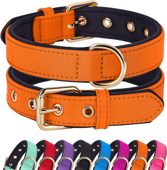 Didog Soft Padded Dog Collars for Medium Dogs, Lightweight and Breathable Dog Collar with Metal Buckle, Orange, L