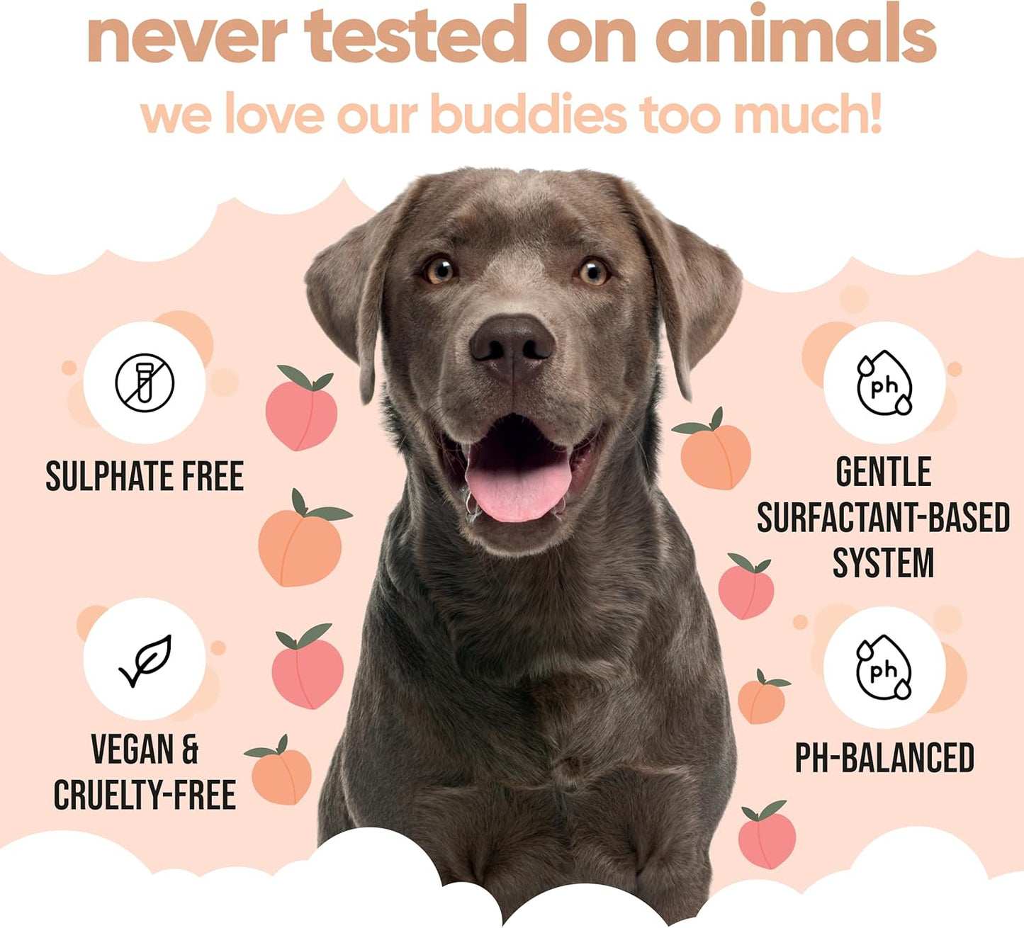 Curly Coat Dog Shampoo by Buddycare | Deep Cleansing Shampoo for Dogs | Fresh Scented | with Aloe Vera and Pro Vitamin B5 (169.07oz)