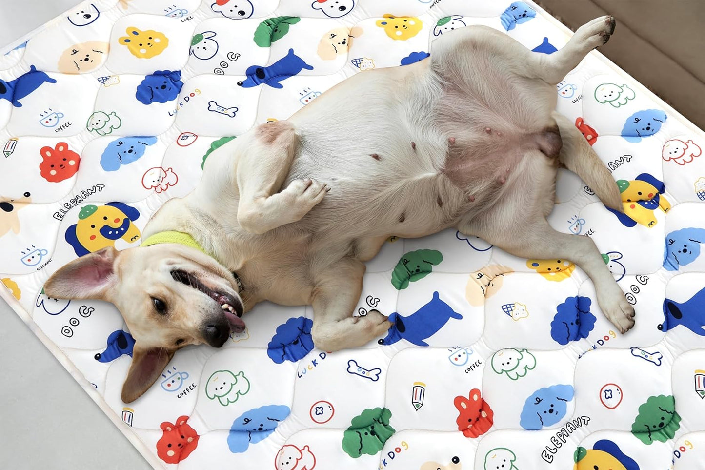 Washable Dog Crate Mat, Ultra Soft Dog Bed Mat for Sleeping with Anti-Slip Bottom for Large Medium Small Dogs Breeds (36" X 23")