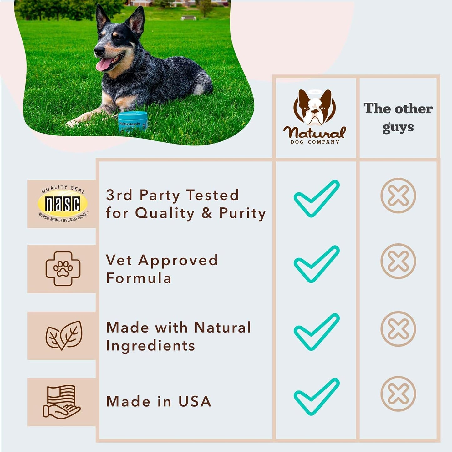 Natural Dog Company 25-in-1 Multivitamin Chews for Dogs – 180 Count Value Pack – Daily Soft Dog Vitamins with Antioxidants, Zinc & Folic Acid – Supports Joints, Skin & Coat, Immune & Heart Health