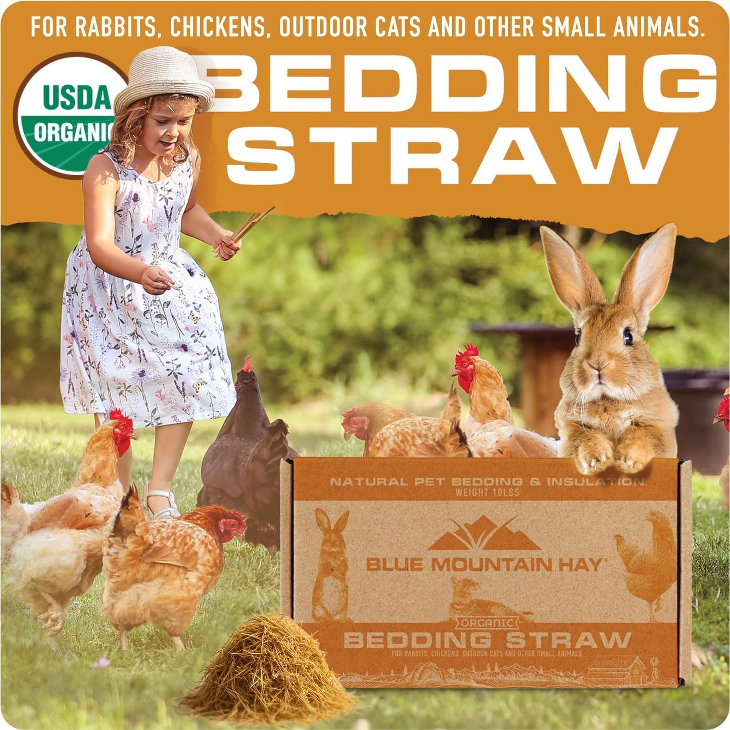 Blue Mountain Hay | Organic Bedding Straw (25 lb) | Natural Pet Bedding & Insulation for Rabbits, Guinea Pigs, Goats, Chickens, Stray & Feral Cats, and Small Animal Shelters