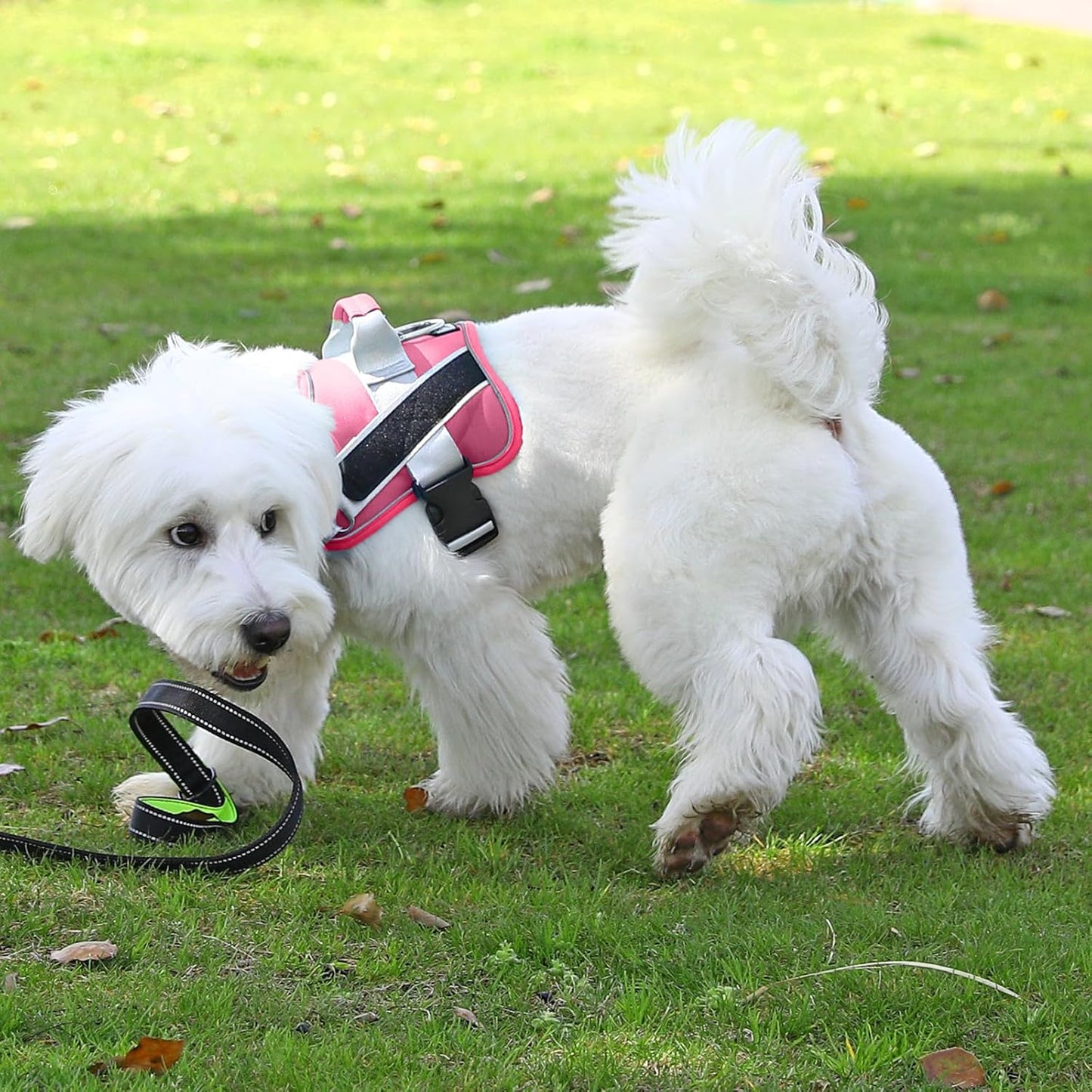 Bolux Dog Harness, No-Pull Reflective Dog Vest, Breathable Adjustable Pet Harness with Handle for Outdoor Walking - No More Pulling, Tugging or Choking (Fuchsia, X-Large (Pack of 1))