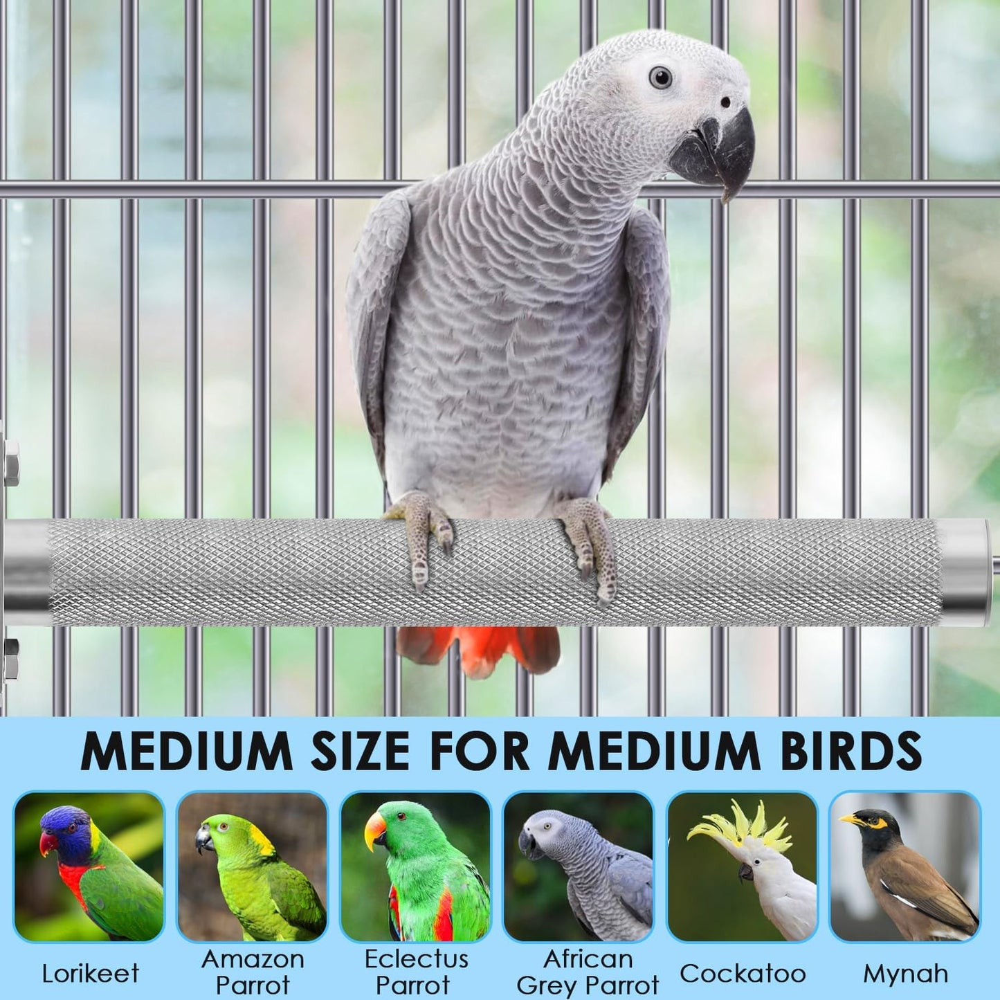 KATUMO Parrot Perch - Stainless Steel African Grey Perch Bird Cage Accessories for Small to Large Parrots (11.8 x 1.2 inch)