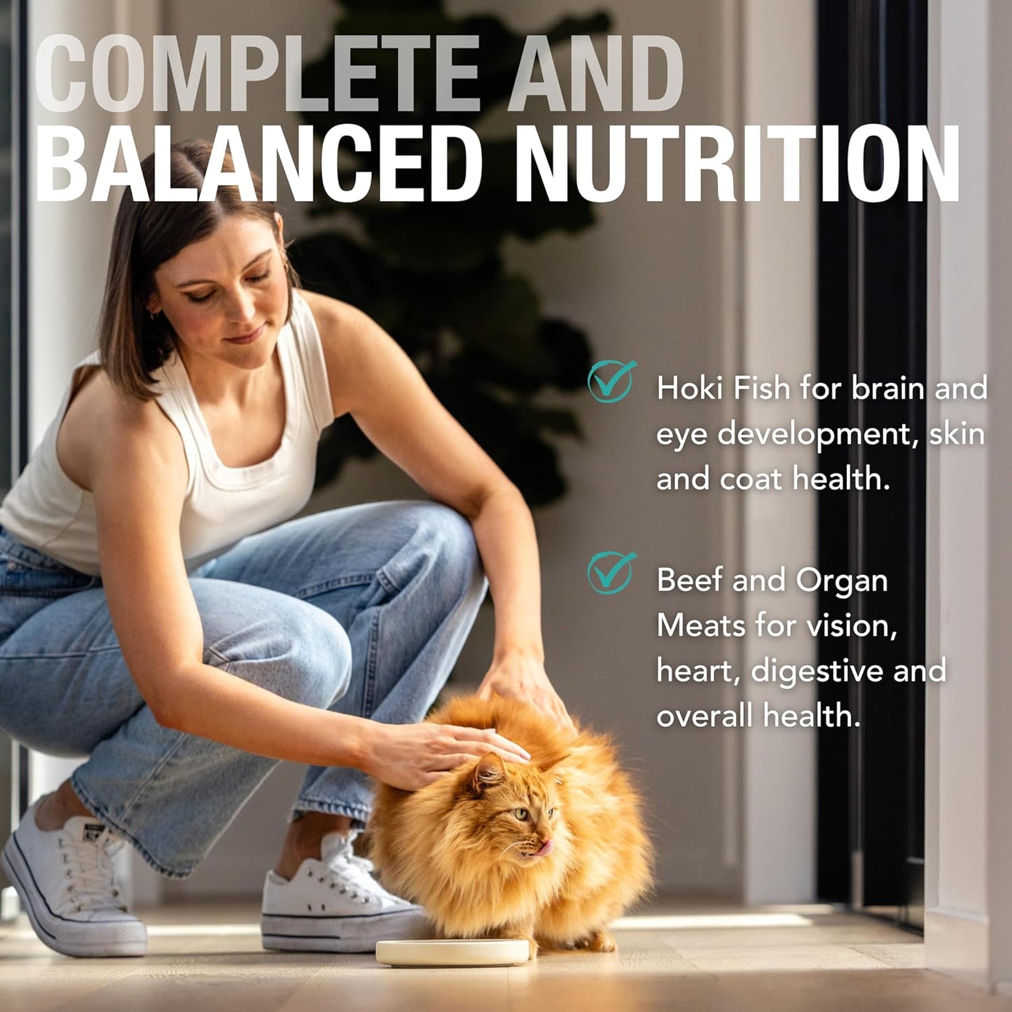 Feline Natural Wet Cat Food Pouch - Hoki & Beef Feast, Grain-Free, Grass-Fed & Sustainably Sourced Wet Food for Cats - Made in New Zealand, 3oz Pate, 12 Count Pack