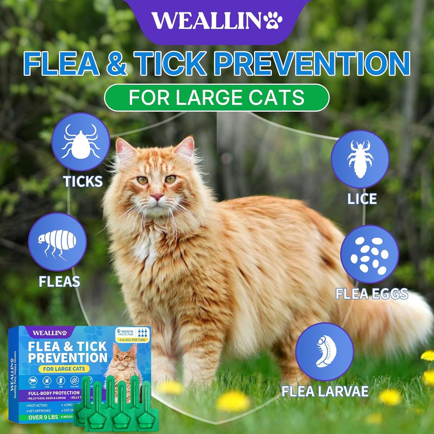 Flea and Tick Prevention for Large Cat, Fleas and Ticks Treatment for Cats Over 9 lbs, Topical Cat Flea Treatment, Fast-Acting & Long-Lasting Fleas Control for Cats, 6-Dose Supply